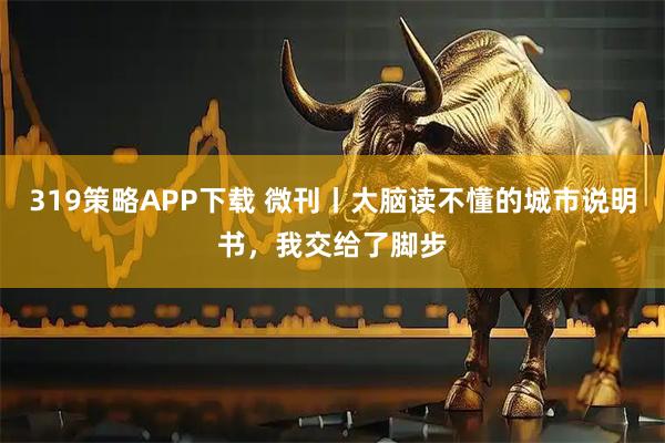 319策略APP下载 微刊丨大脑读不懂的城市说明书，我交给了脚步