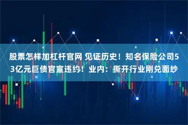 股票怎样加杠杆官网 见证历史！知名保险公司53亿元巨债官宣违约！业内：撕开行业刚兑面纱