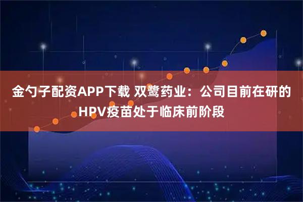 金勺子配资APP下载 双鹭药业：公司目前在研的HPV疫苗处于临床前阶段