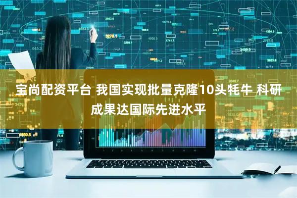 宝尚配资平台 我国实现批量克隆10头牦牛 科研成果达国际先进水平